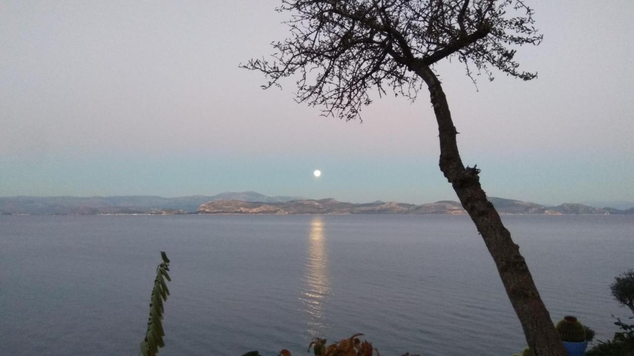 Linamare Eolos Κιβέρι Εξωτερικό φωτογραφία