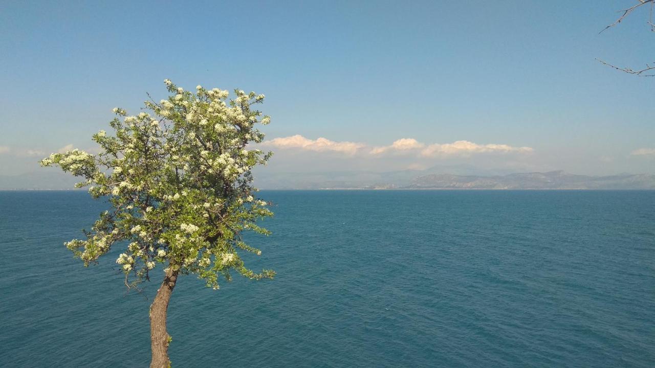 Linamare Eolos Κιβέρι Εξωτερικό φωτογραφία