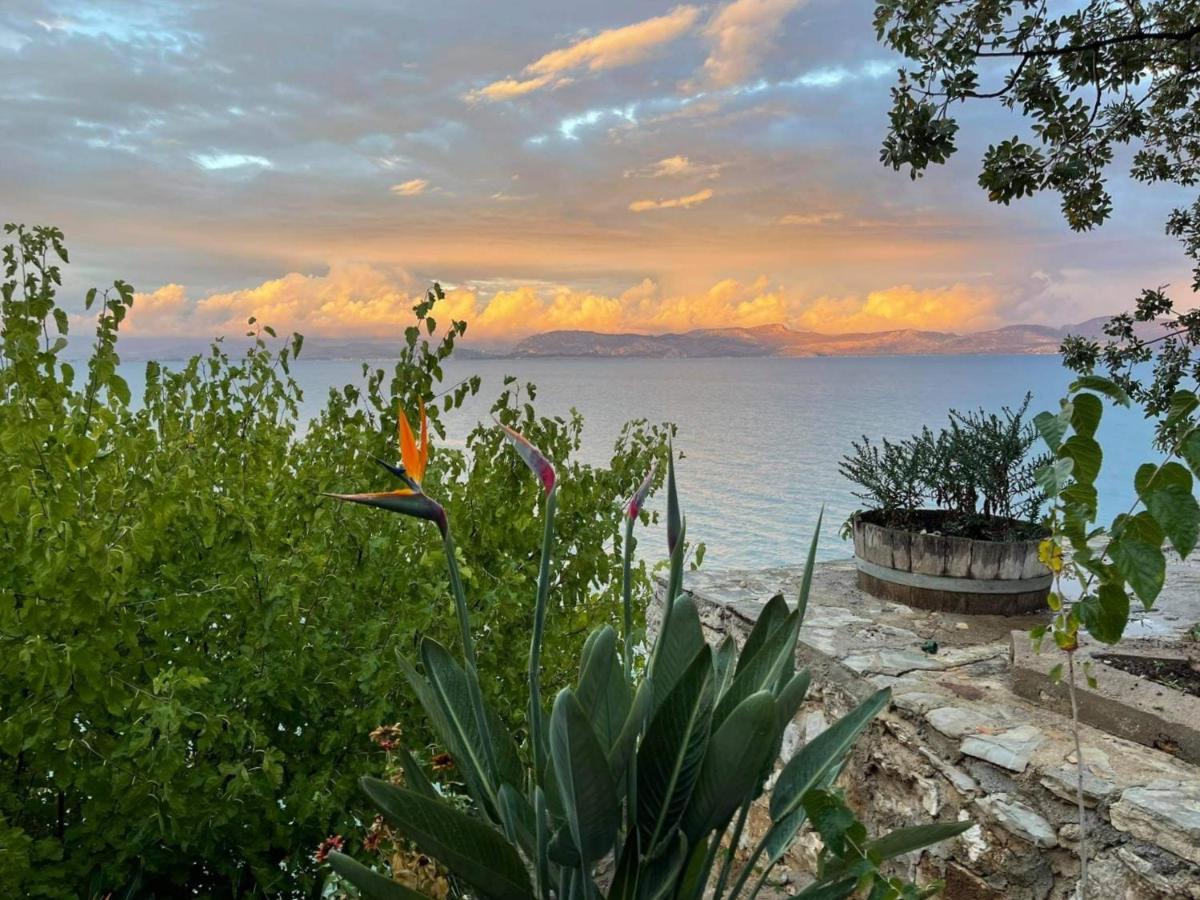 Linamare Eolos Κιβέρι Εξωτερικό φωτογραφία