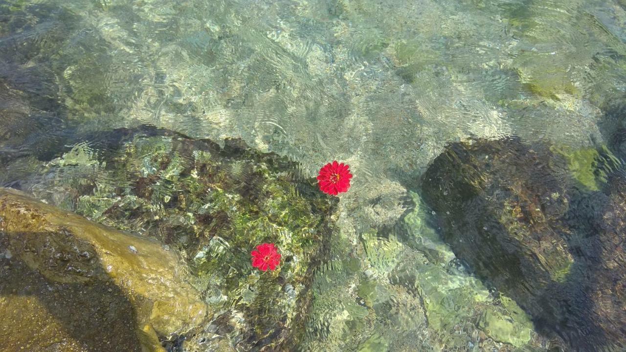 Linamare Eolos Κιβέρι Εξωτερικό φωτογραφία