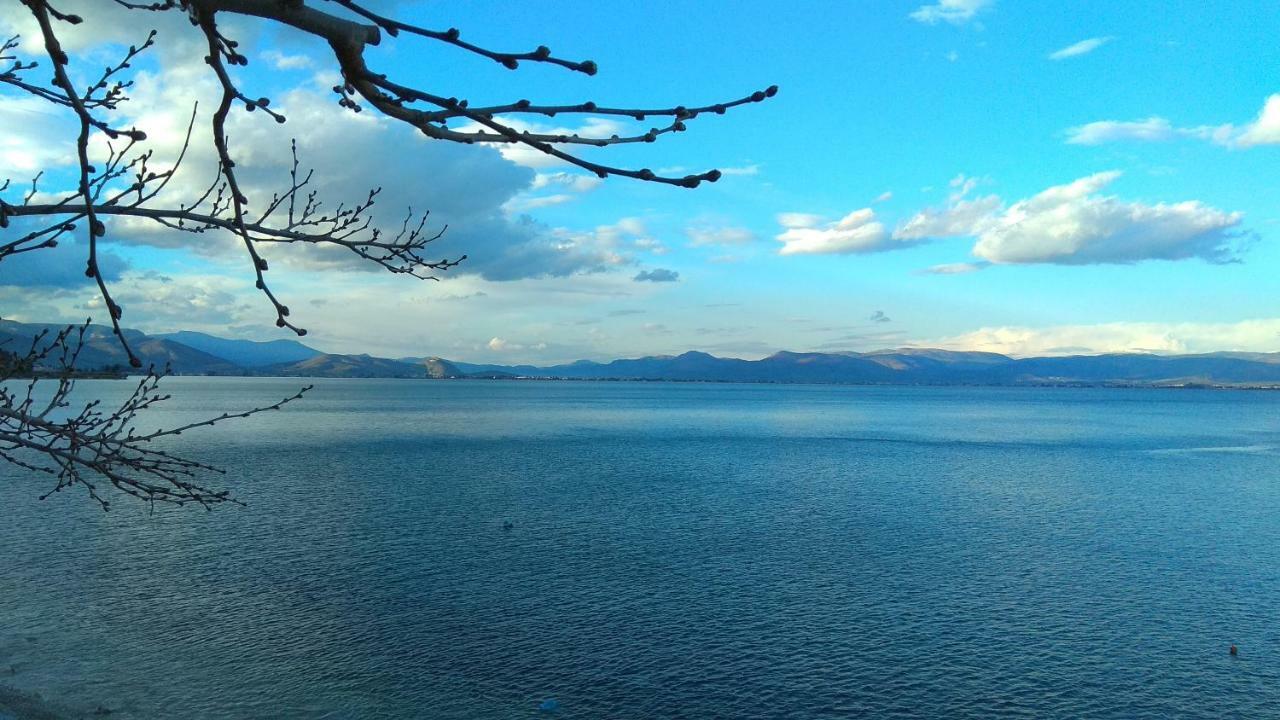 Linamare Eolos Κιβέρι Εξωτερικό φωτογραφία