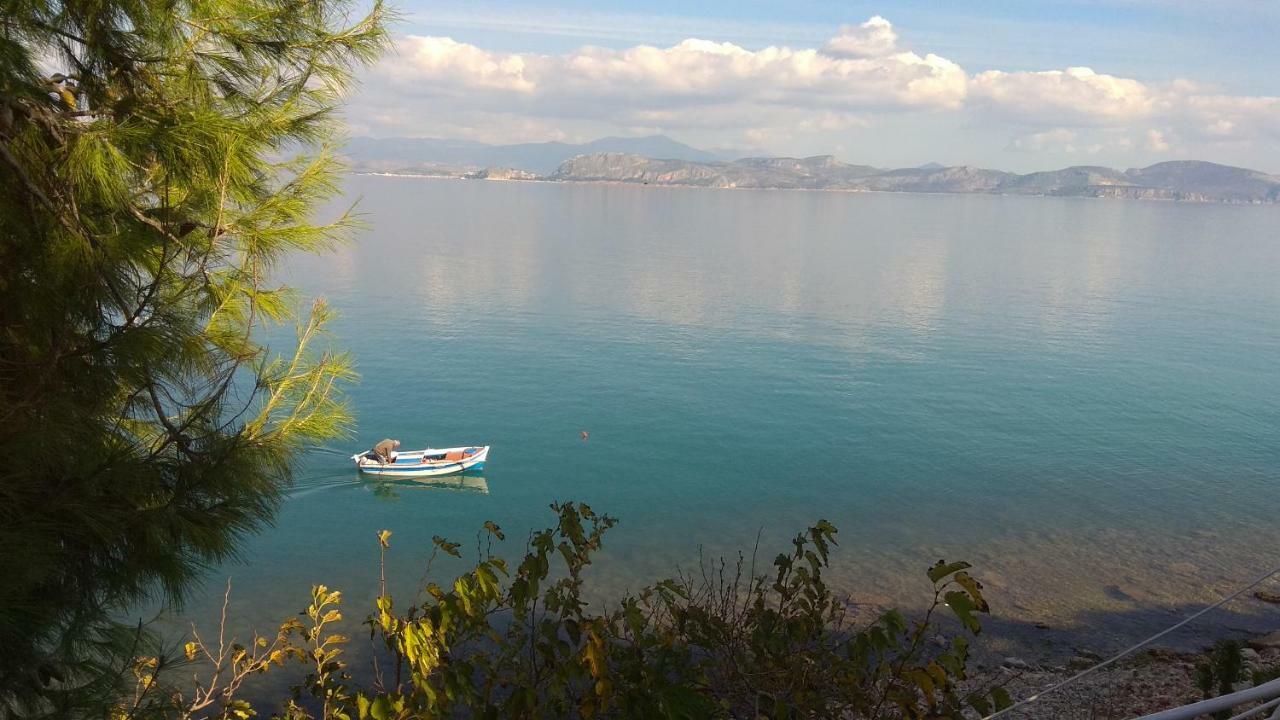 Linamare Eolos Κιβέρι Εξωτερικό φωτογραφία